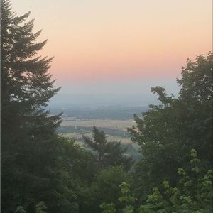 Meet your Posher, Lilli